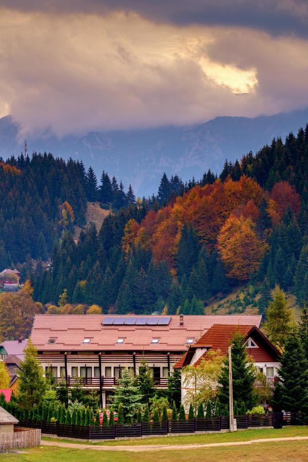 Casa Muntelui Hotel Фундата Екстериор снимка